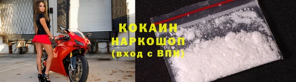 кокс Алзамай