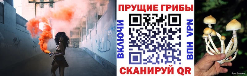 Псилоцибиновые грибы ЛСД  Гаджиево 